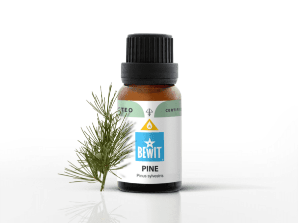 borovica 100 cisty esencialni olej thumbnail 1613139687 PINE 1