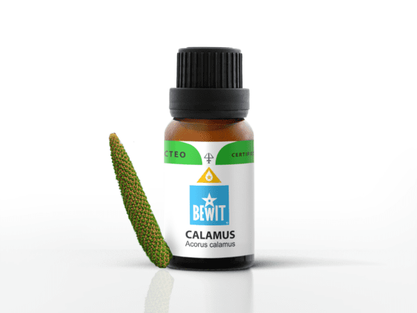 calamus puskvorec obycajny 100 cisty esencialni olej thumbnail 1613124688 CALAMUS