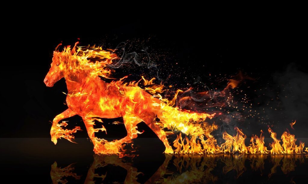 fire horse 2492947 1920